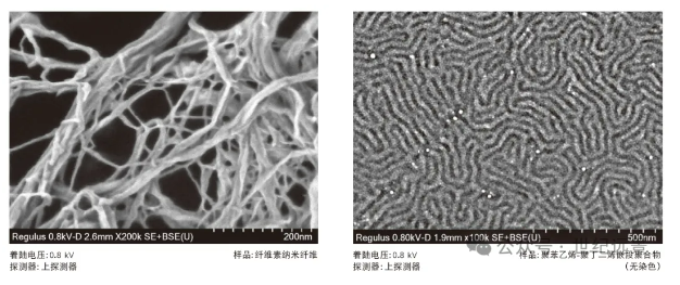 扫描电子显微镜SU8220 租售 扫描电子显微镜SU8220 租售