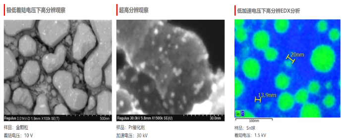 日立高新场发射扫描电子显微镜SU8220租赁服务 日立高新场发射扫描电子显微镜SU8220租赁服务